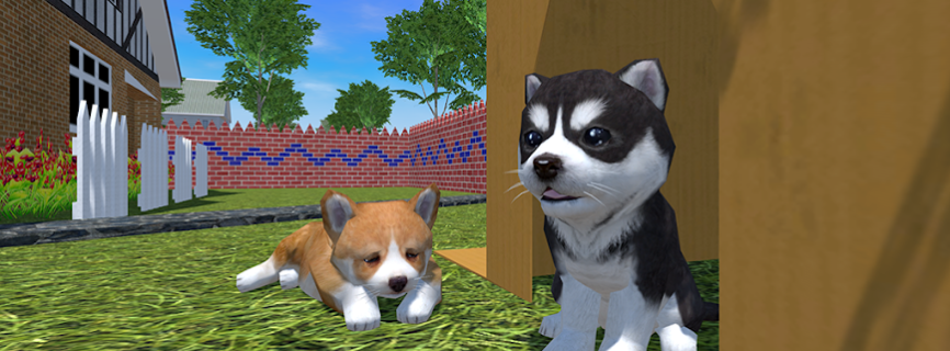 Cute Pocket Puppy 3D – Part 2